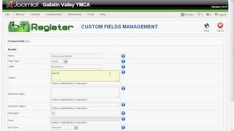 Custom Field - Radio Button