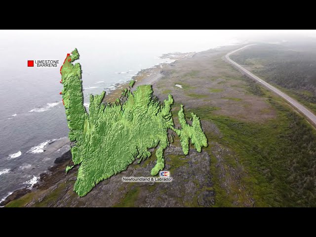 Les landes de calcaire de Terre-Neuve-et-Labrador