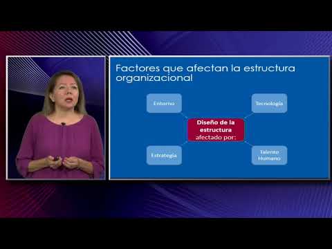 Habilidades Administrativas Importantes Que Los Empleadores Valoran