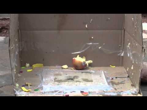 Exploding an Apple