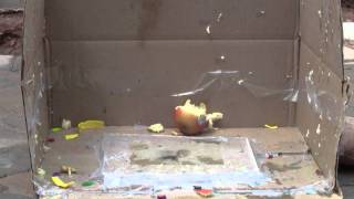 Exploding an Apple