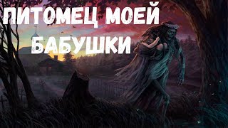 Питомец Моей Бабушки. Страшная История.