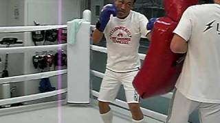 ボクシングボディミット打ち練習.AVI