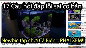 17 Câu Hỏi Thường Gặp Khi Chơi Bể Cá Biển Cơ Bản / Set-up Bể Cá Nemo  [ Part 10]