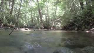 kickapoo 2010 in HD(shot with gopro hero hd)