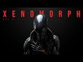 Dark electro  ebm  industrial bass  darksynth mix xenomorph vol3