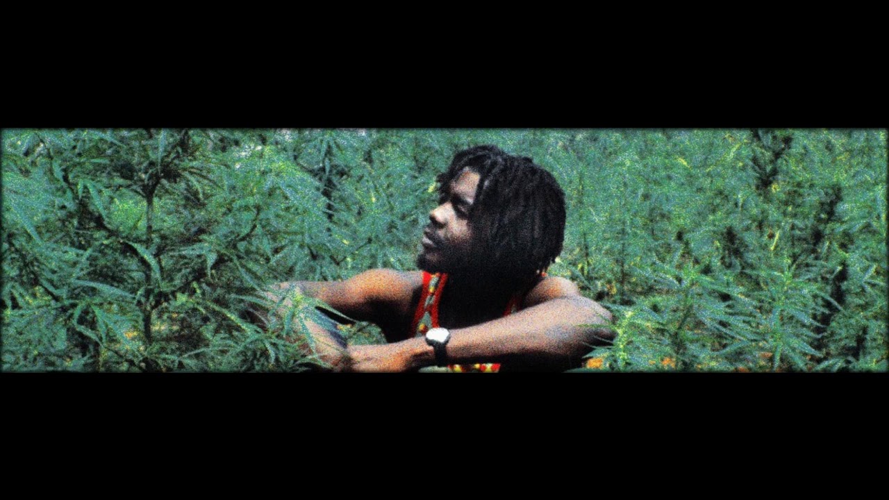 Давай давай растафарай. Аслан бижоев даешь молодежь в шапке. Давай давай растафарай. Растаманы (растафари). Toto певец растафарай.