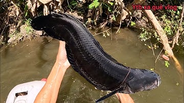 Hành trình Vượt thác Săn Tìm 