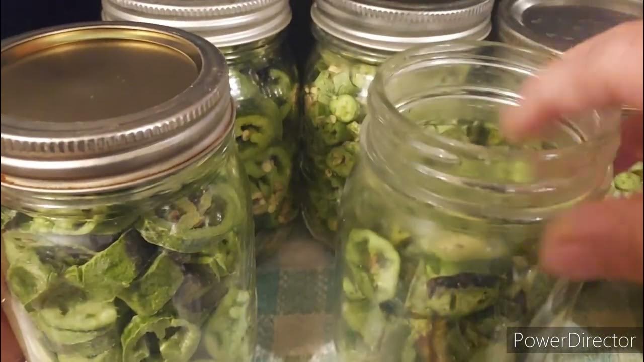 Harvest Right freeze dryer. freeze drying jalapenos and Serranos for longterm storage. YouTube