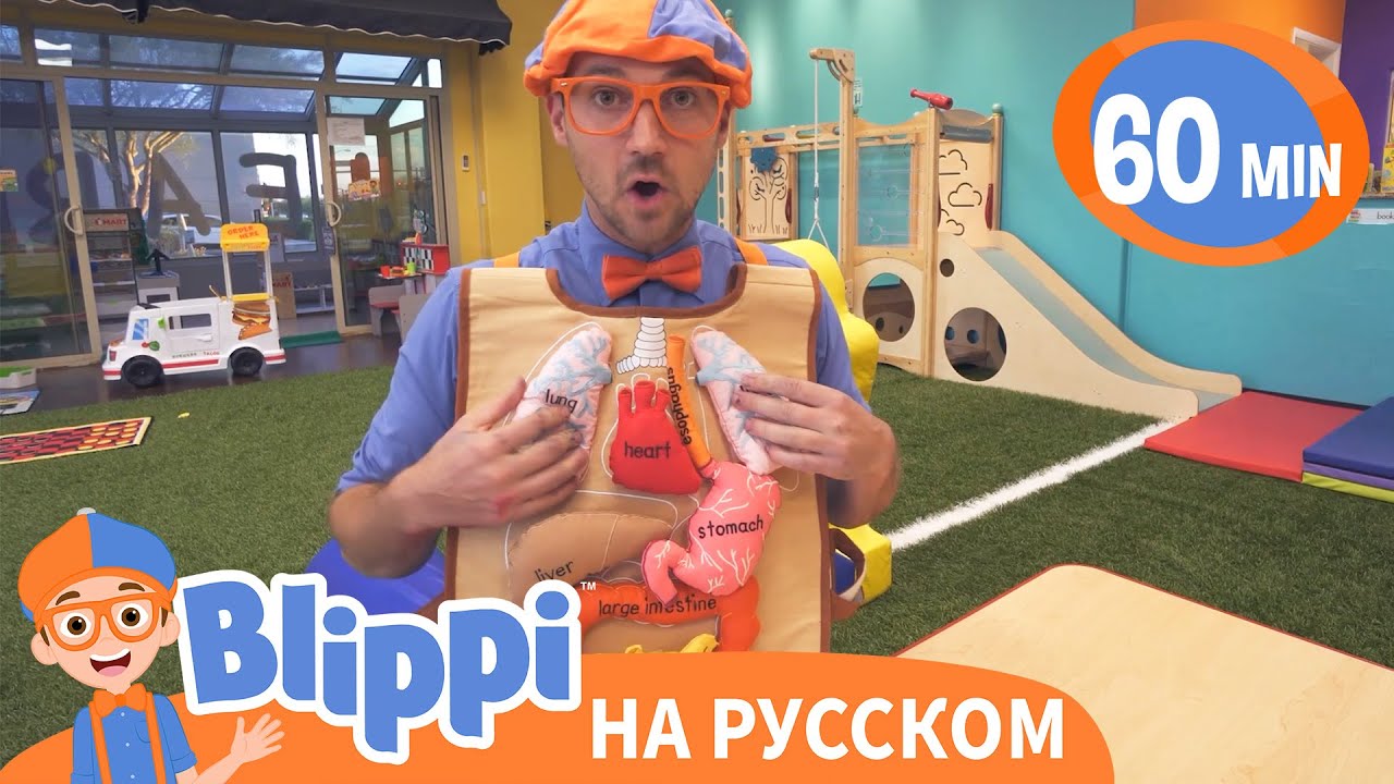 Страна профессий | Изучай этот мир вместе с Блиппи | Обучающие видео для детей