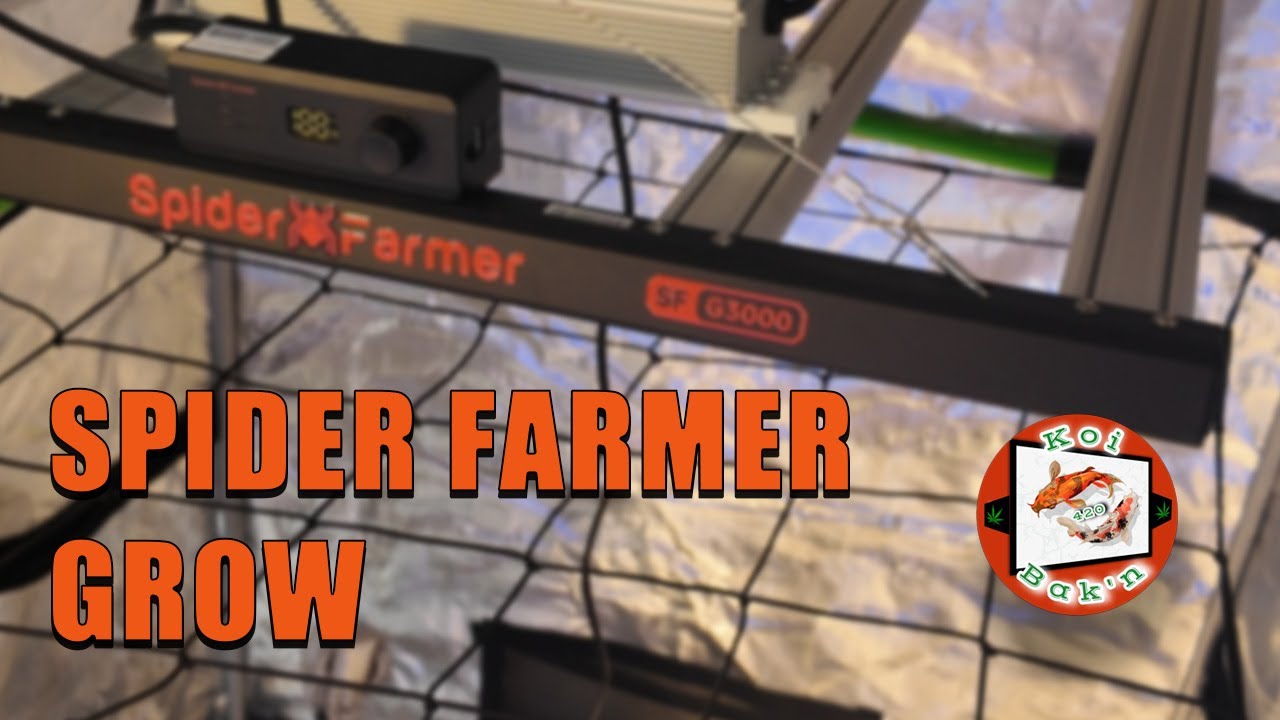Spider Farmer G3000 Grow Tent Kit | Ep 2 | How It Works