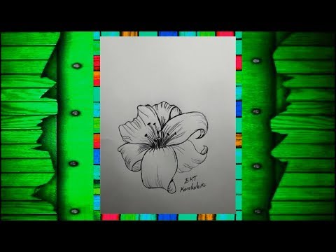 EKT - Karakalem Zambak Çiçeği Çizimi / Çiçek Çizimleri #1