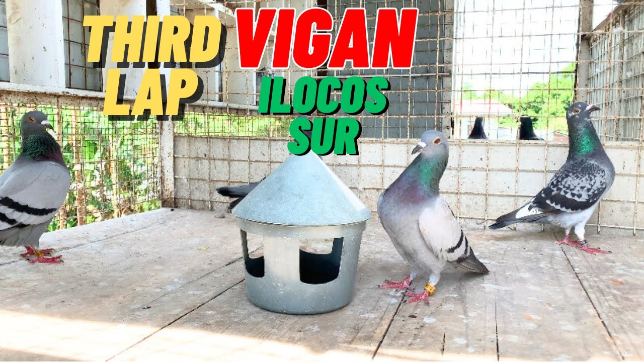 THIRD LAP VIGAN ILOCOS SUR HARD RACE 