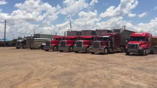 Hollis Livestock Commission
