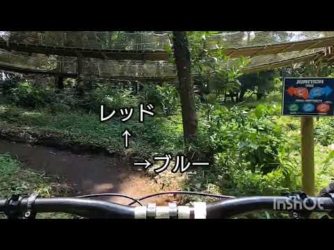 横浜市内でお手軽トレイル！トレイルアドベンチャー・よこはまの走り方  レッドコース