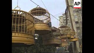 CHINA: BIRD MAN OF BEIJING