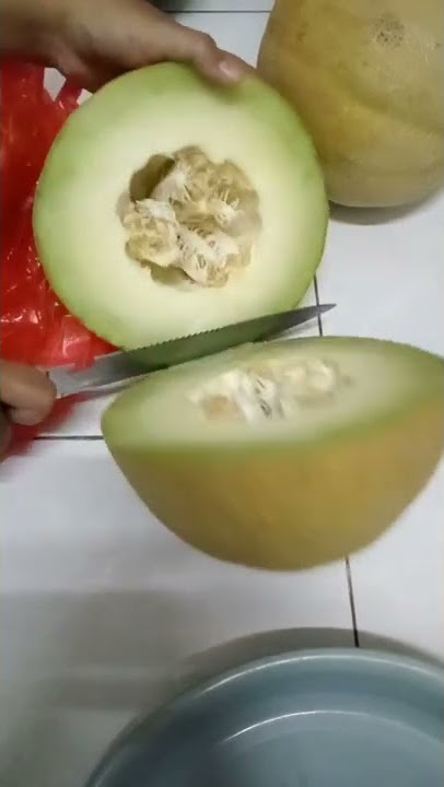 Trik memotong melon #asmr #viral #fyp #kuliner #melon #mukbang #trending #jangan #makanbareng #snack