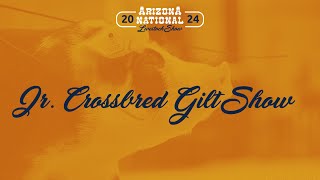 Arizona National: 2024 Junior Crossbred Gilt Show