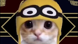 Northwind Xester Montage Part 6