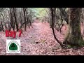 Day 7 of my Appalachian Trail Thru Hike
