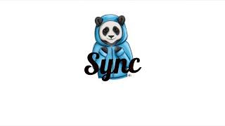 Intro de Sync Panda (Integrante)