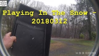 Playing In The Snow - 20180312