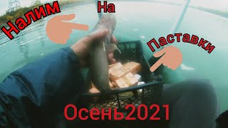 Осенний налим 23,10,2021,проверка поставков.убийца налима...