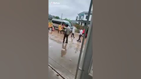 Chú rể rước dâu bằng xe rùa