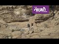 العربية ترصد معارك مديرية الصفراء في اليمن 