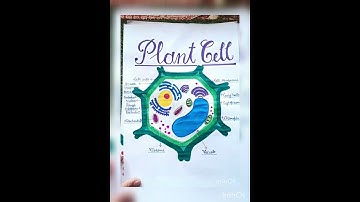 class 9 biology project / about plant cell/