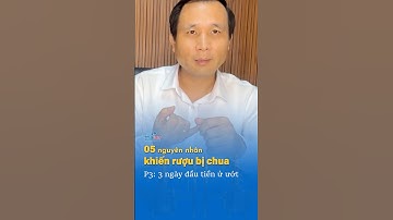 Nguyên Nhân Gây Ra Rượu Bị Chua Do 3 Ngày Đầu Tiên Ủ Ướt