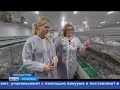 На востоке Оренбуржья успешно работает кроликоферма