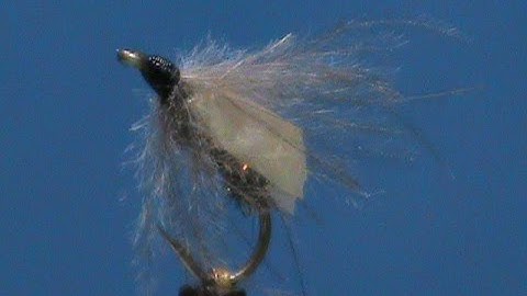 Beginner Fly Tying a GSS Caddis Cripple with Jim Misiura