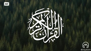 قرآن كريم بصوت أحمد النفيس | حالات واتس اب دينية - سورة الرعد