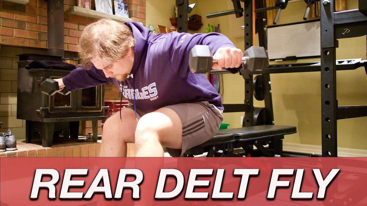 How To Dumbbell Rear Delt Fly - YouTube