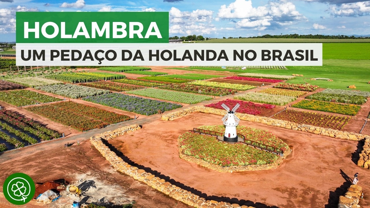 HOLAMBRA: Como é a vida na cidade das flores?