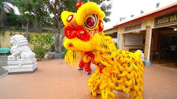 Múa Lân Sư Rồng Vũng Tàu 2021 / LSR Phước Nghĩa Đường