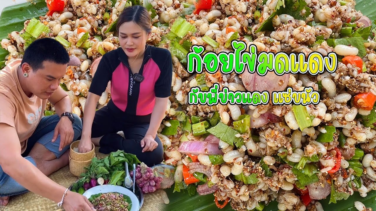 พาแหย่ไข่มดแดง อาหารชั้นสูง เมนูตามฤดูกาลต้อนรับพี่บ่าวแดง