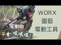 【工具分享】鋸剪割吹\一次了解園藝有哪些好用的電動工具\WORX 鏈鋸機/籬笆剪/割草機/吹葉機