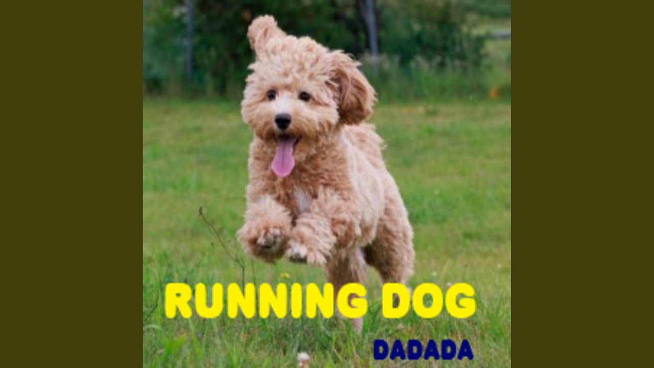 Guarda Running dog su YouTube Guarda Running dog su YouTube