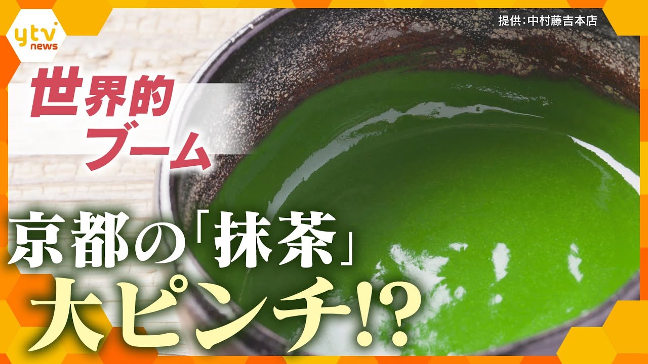 【解説】きっかけは“抹茶ラテ”！？世界で『京都の抹茶』大ブームも…「生産が追いつかない」　人気の裏にある業界の苦悩とは【かんさい情報ネット ten.特集】