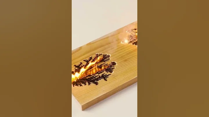 Shou Sugi Ban / The Art Of Wood Burning #shorts