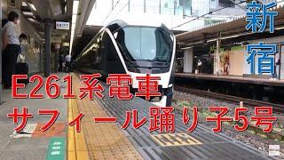 特急サフィール踊り子5号 新宿駅入線 JR東日本 【臨時列車】