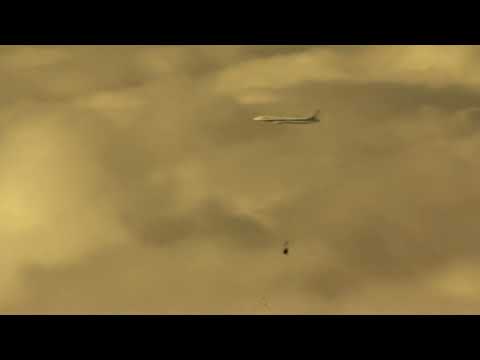 Sky Companions: Air India AI313 & ANA in Flight Harmony | Seoul to Delhi Journey ✈️