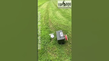 Professional Greyhound Coursing Machine, Ireland & UK