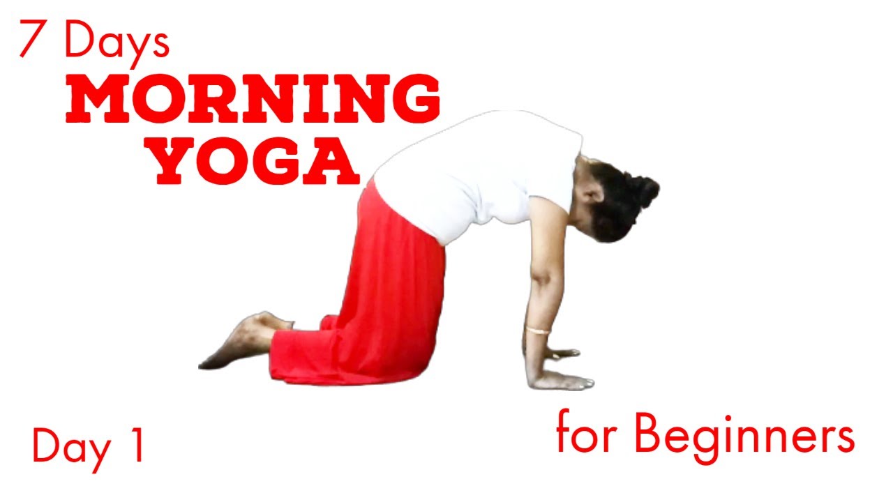 7 Days Yoga Series for Beginners | Day 1 - YouTube