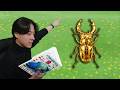 本物の図鑑で行くあつもり‼ #37【あつまれ どうぶつの森】
