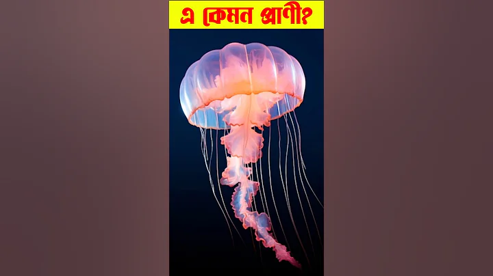 Rescuing Cute Jellyfish Blobs | How Jellyfish Sting Works | জেলিফিশ #shorts