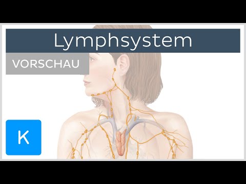 Video: Supraklavikuläre Lymphknoten Anatomie, Diagramm & Funktion - Körperkarten