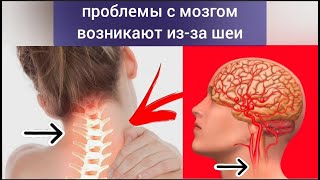Жизнь сосудов шеи и мозга зависят от зажатых ременных и грудино-сосцевидных мышц шеи. Упражнения
